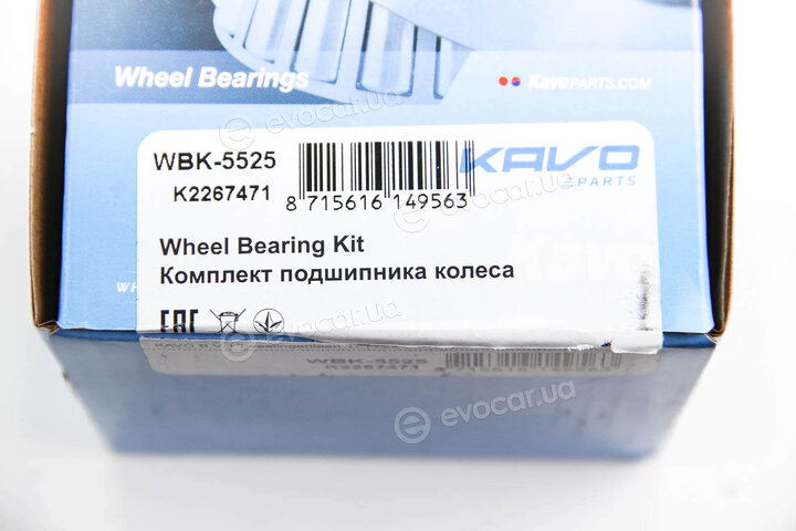 Kavo WBK-5525