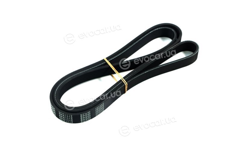 Denckermann 6PK1715