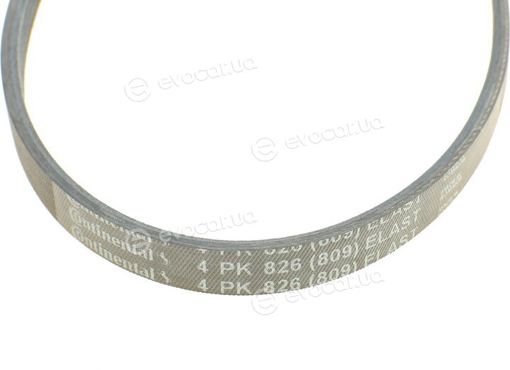 Continental 4PK826 ELAST