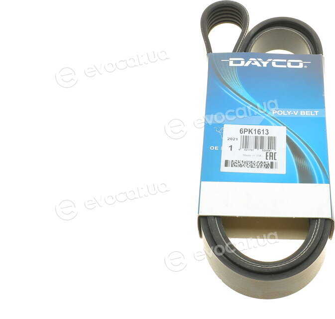 Dayco 6PK1613