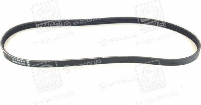 Dayco 4PK895