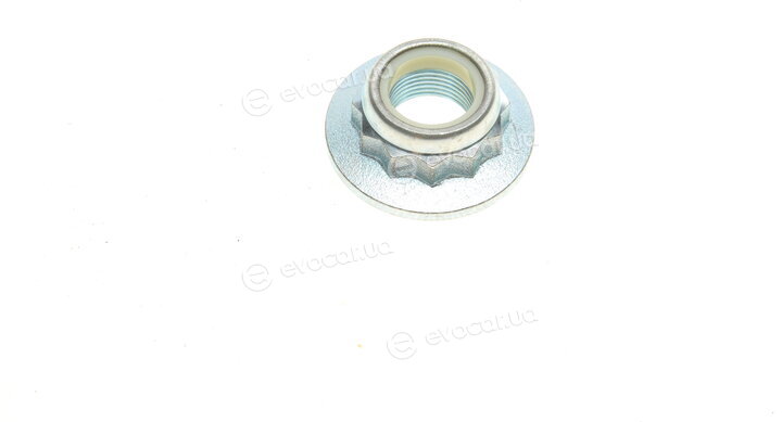 Borsehung B11289