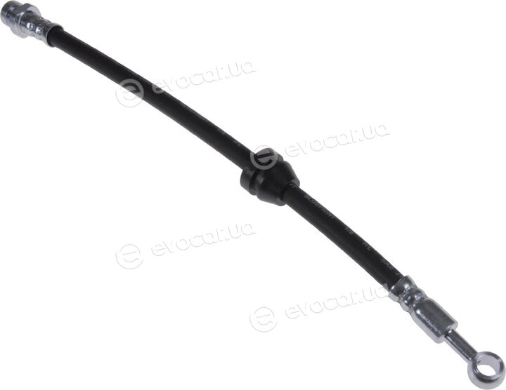 Blue Print ADG05375