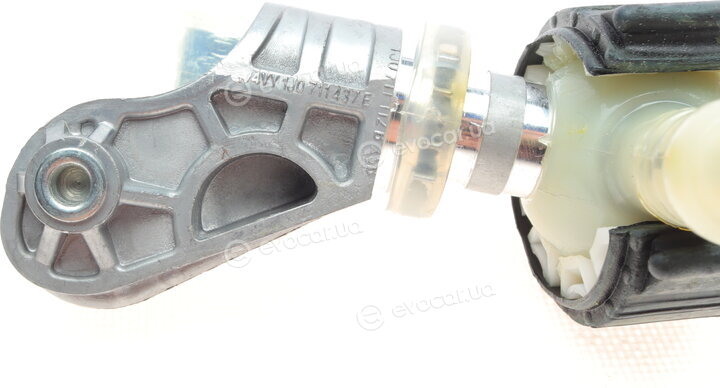 Borsehung B12098