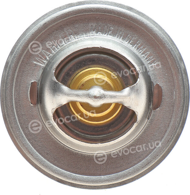 Wahler / BorgWarner 3000.83