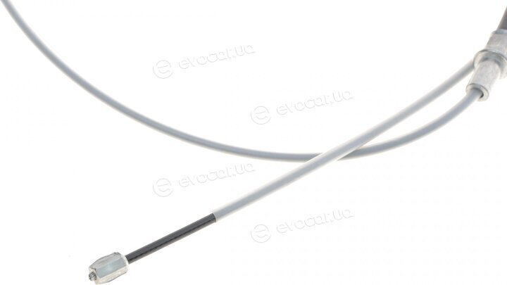 Solgy 219013