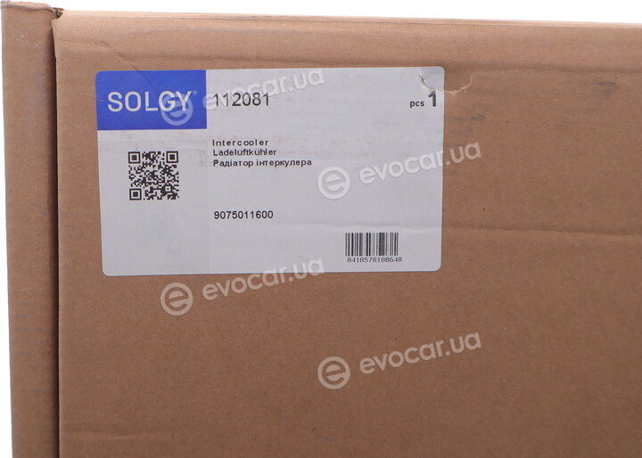 Solgy 112081