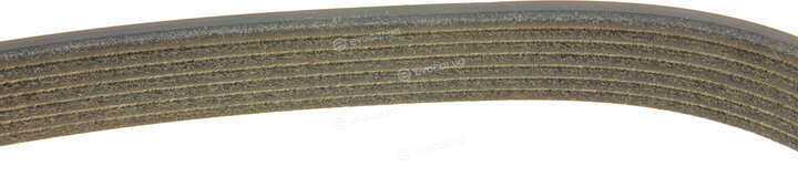 Dayco KPV619