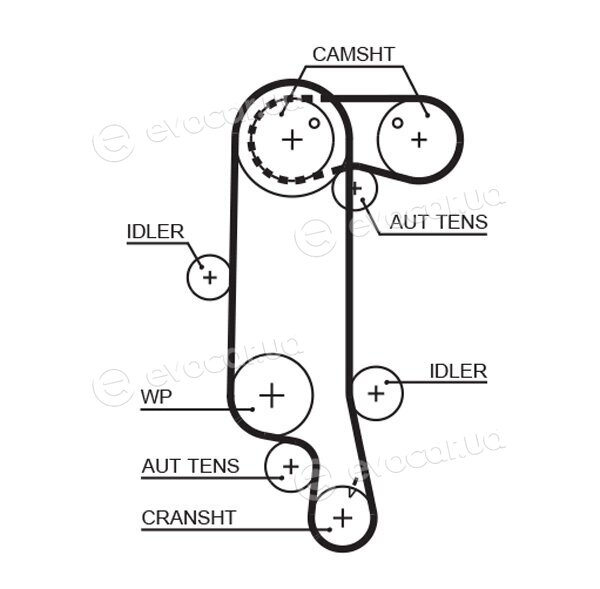 Gates KP25565XS-2