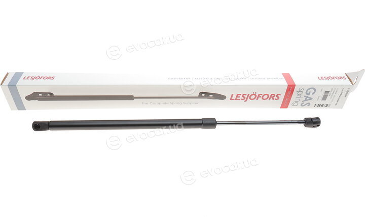 Lesjofors 8195047