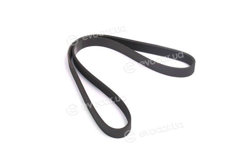Dayco 6PK1018