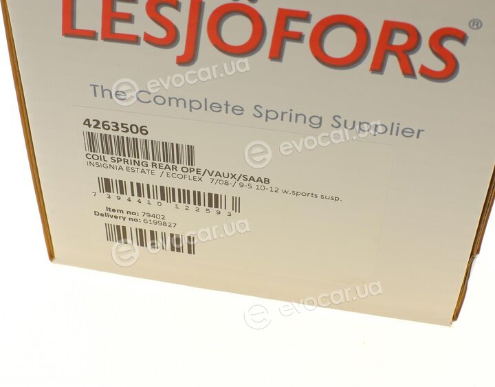 Lesjofors 4263506