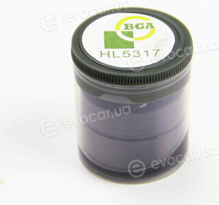 BGA HL5317