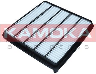 Kamoka F261001