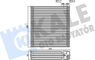 Kale 350150