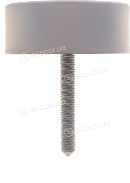 Dayco APV3018