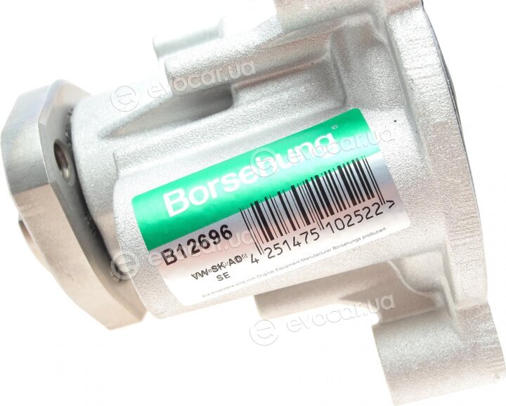 Borsehung B12696