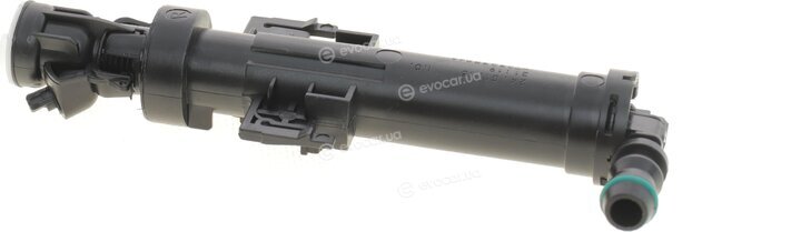 Vika 99551794901