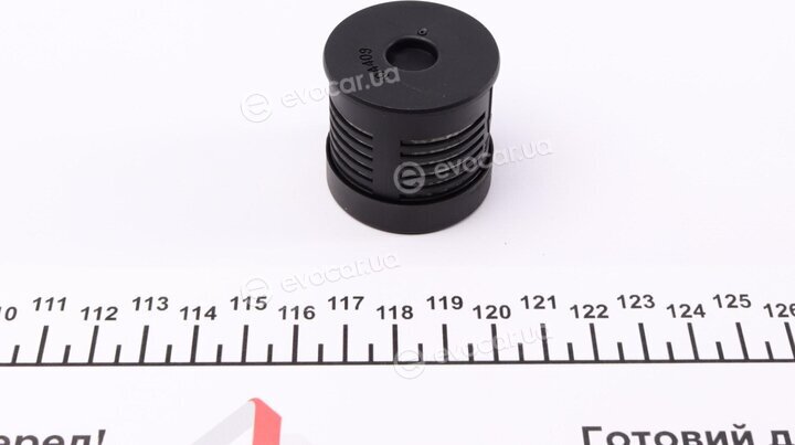 BorgWarner DS108190