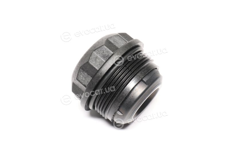 BorgWarner DS120359