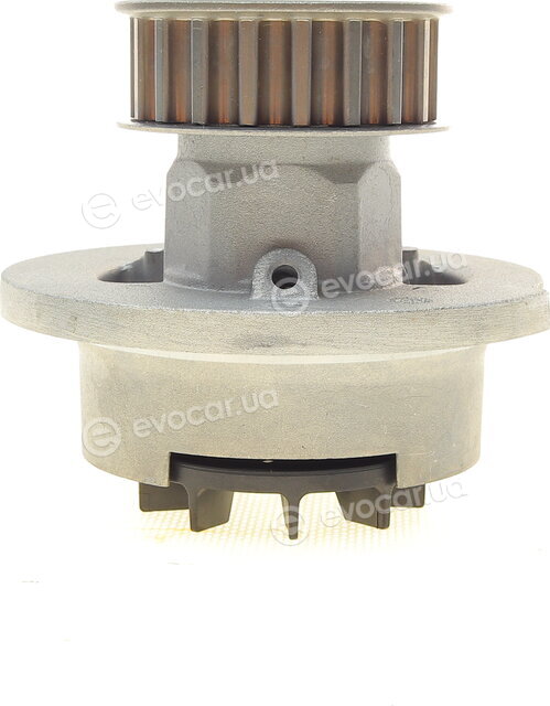 Continental CT874WP2