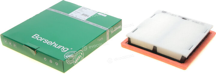 Borsehung B12809