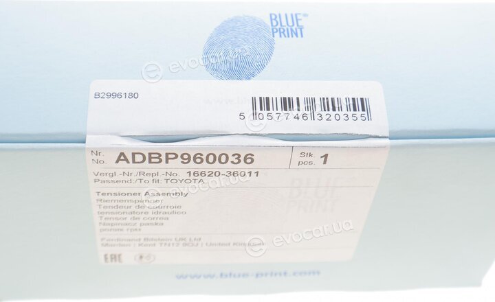 Blue Print ADBP960036