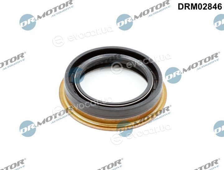 Dr. Motor DRM02846