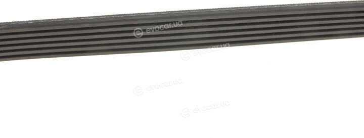 Gates 6PK1660