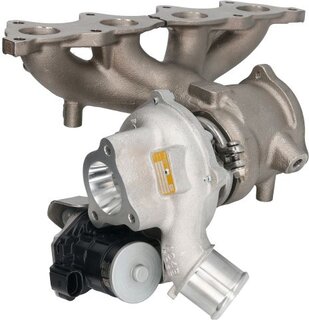 BorgWarner 16389880018