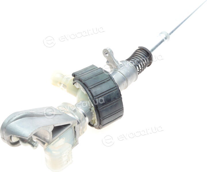 Borsehung B12098