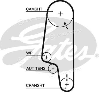 Gates K025427XS