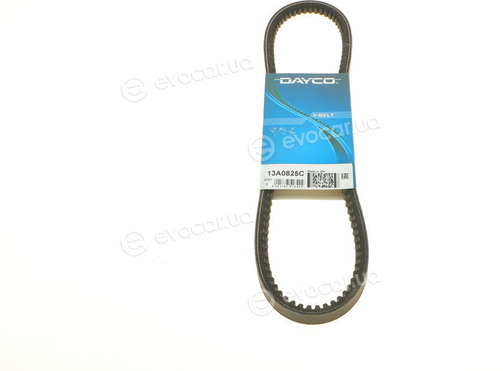 Dayco 13A0825C