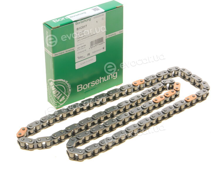 Borsehung B1C017