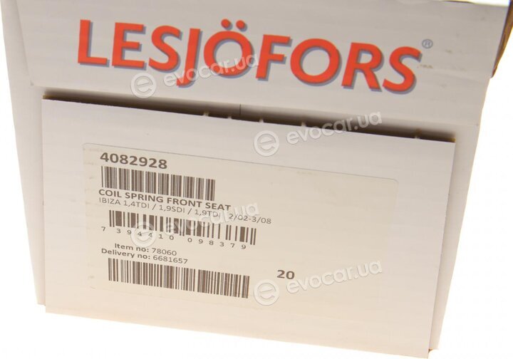 Lesjofors 4082928