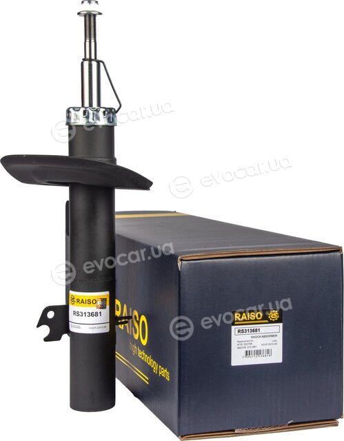 Raiso RS313681