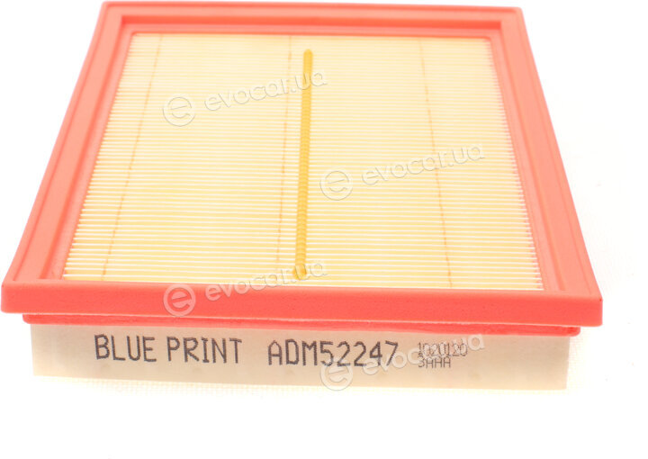 Blue Print ADM52247