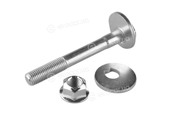 Tedgum TED45560
