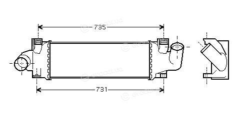 Starline A FDA 4438