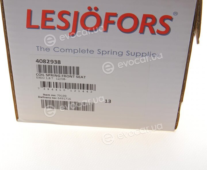 Lesjofors 4082938