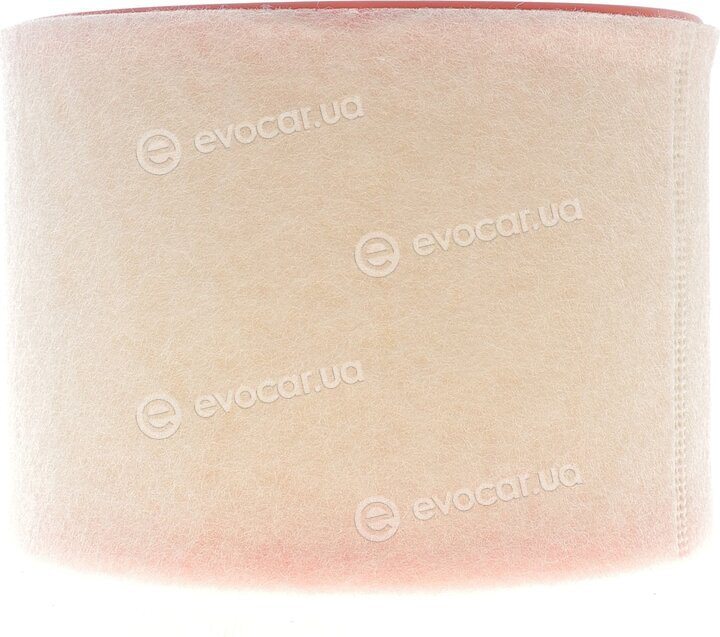 Solgy 103171