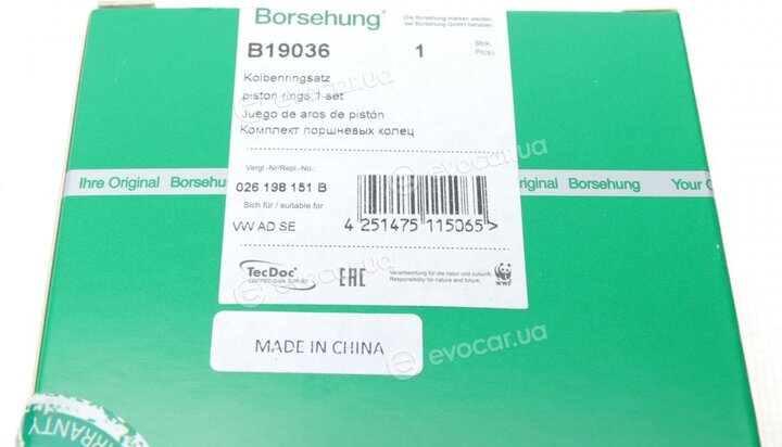 Borsehung B19036