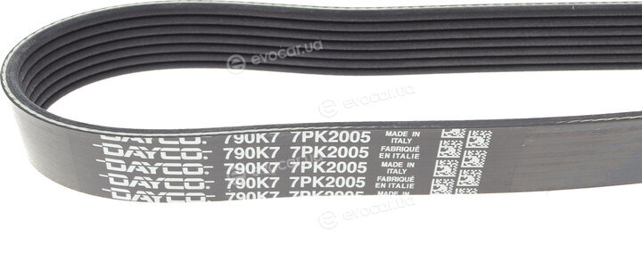 Dayco 7PK2005