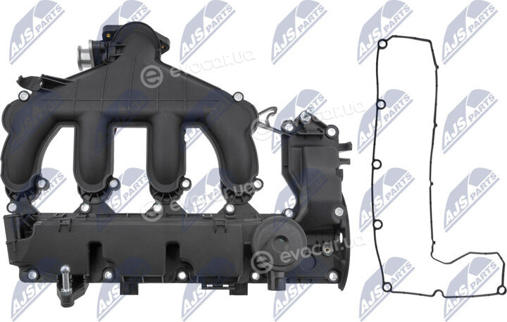 NTY BPZ-CT-011