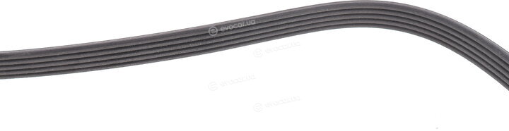 Dayco 5PK1330