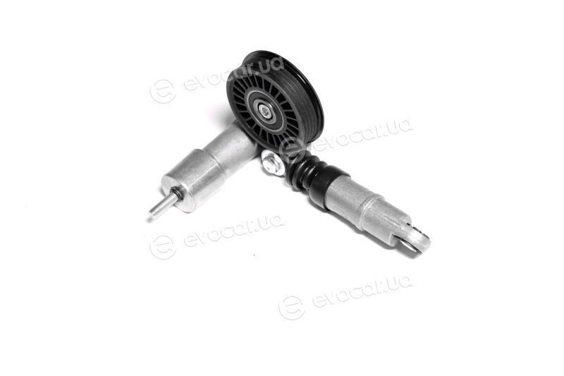 SKF VKM 31013