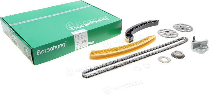 Borsehung B16295