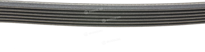 Continental 6PK1670