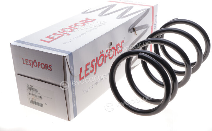 Lesjofors 4027582