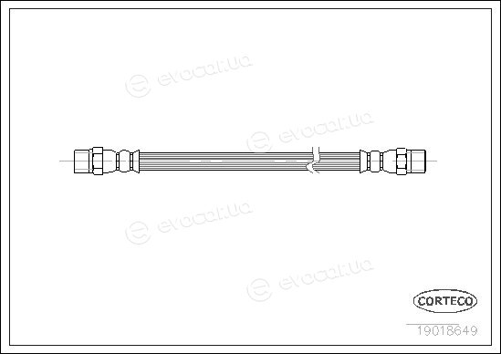 Corteco 19018649
